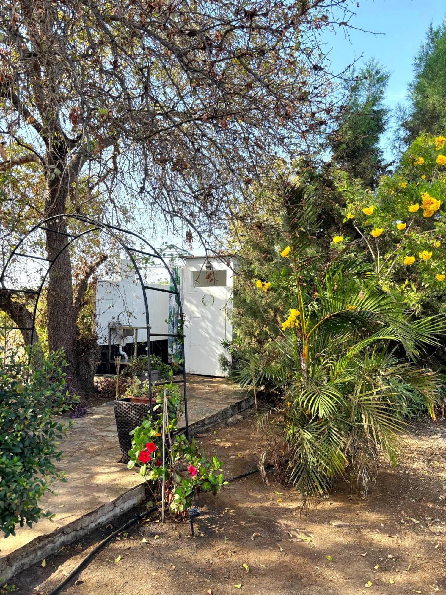 - Magic Bus - Hotel Klorakas Exterior foto